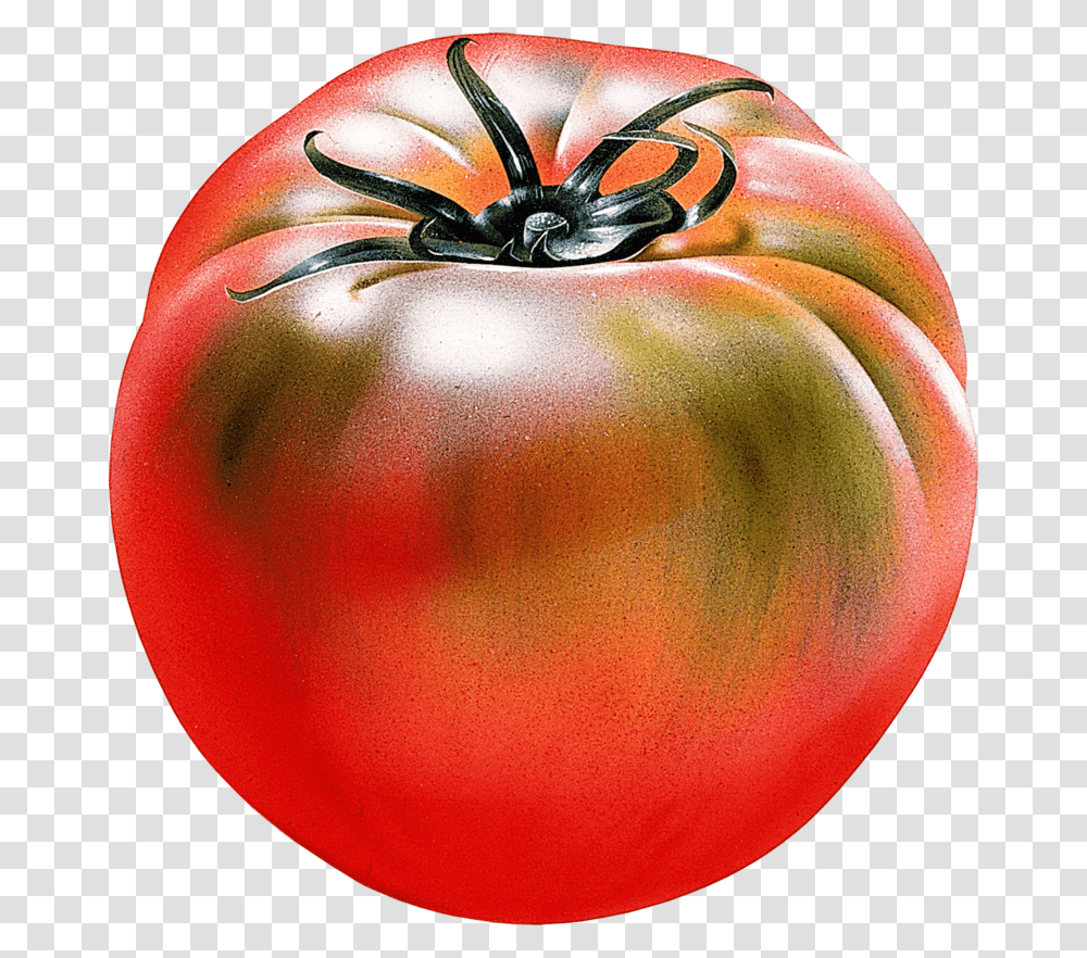 Tomato Free Download, Plant, Food, Vegetable Transparent Png