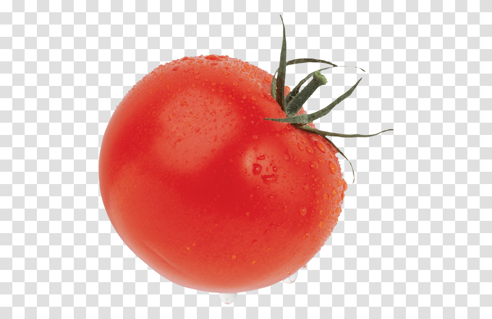 Tomato Free Download Produce Tomato, Plant, Vegetable, Food Transparent Png