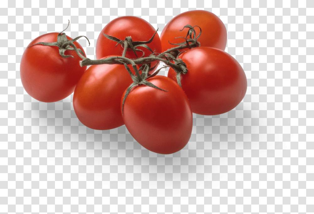 Tomato Graphic Asset Plum Tomato, Plant, Vegetable, Food Transparent Png