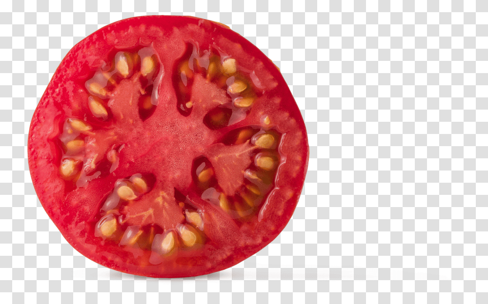 Tomato Graphic Asset Superfood Transparent Png