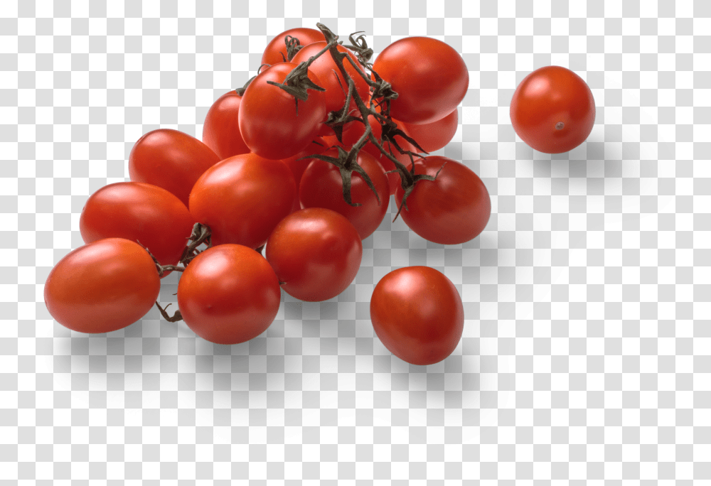 Tomato Graphic Asset Superfood Transparent Png