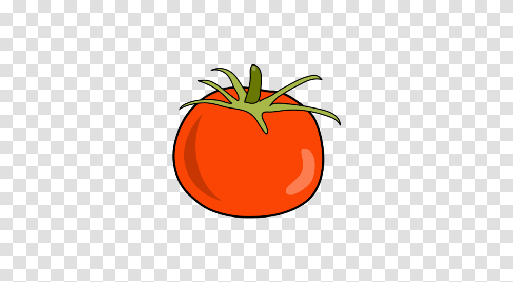 Tomato Illustration Vector And Free Download The Graphic Cave, Plant, Vegetable, Food, Produce Transparent Png