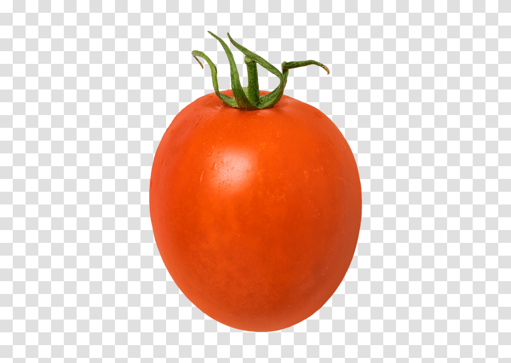 Tomato Image, Plant, Vegetable, Food, Produce Transparent Png