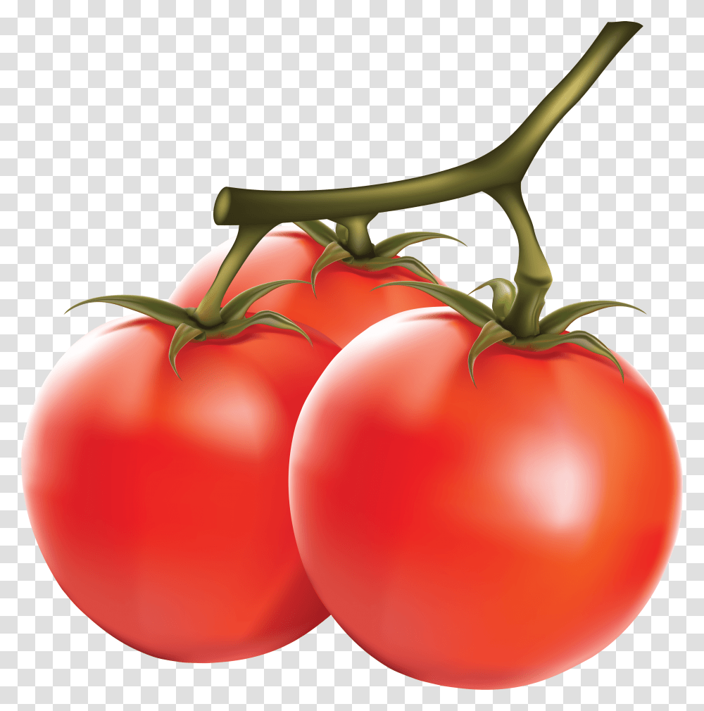 Tomato Image, Plant, Vegetable, Food Transparent Png