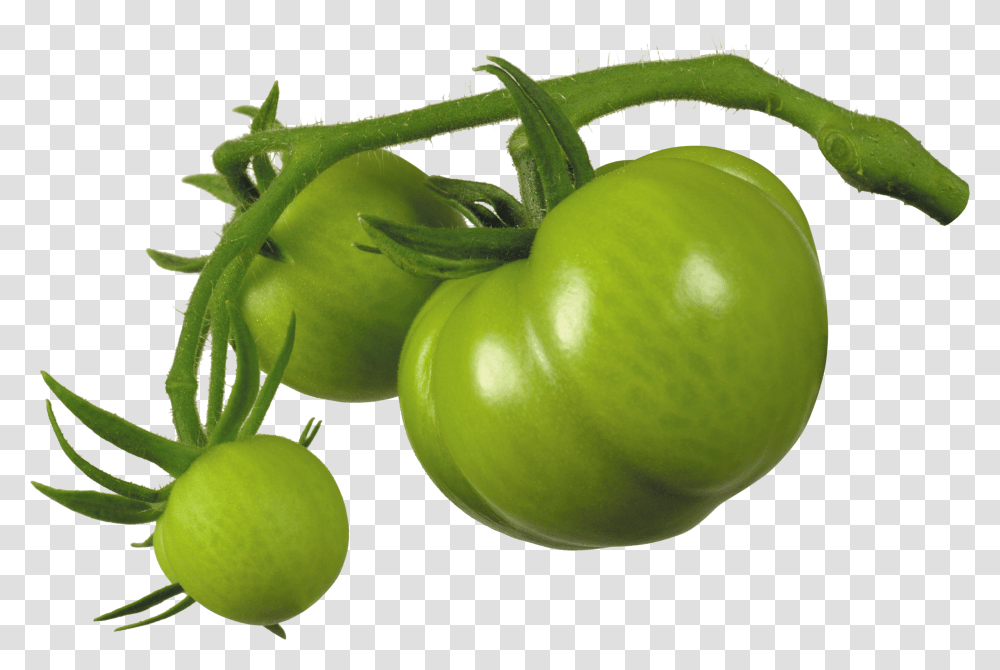 Tomato Image Transparent Png