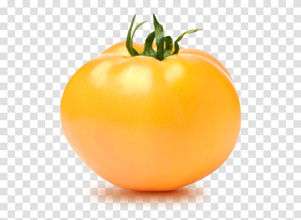 Tomato Images 1 Image Gold Tomato, Plant, Vegetable, Food, Egg Transparent Png