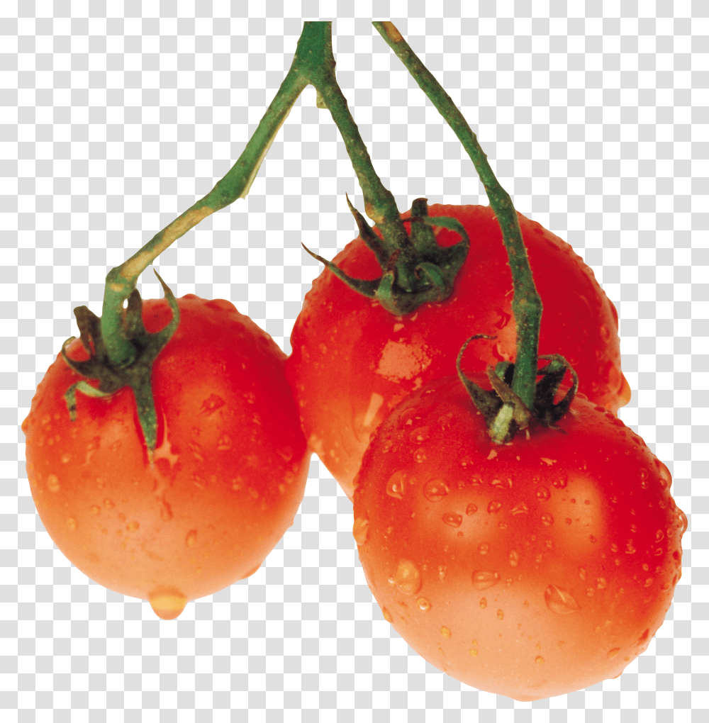 Tomato Images Free Download, Plant, Vegetable, Food Transparent Png