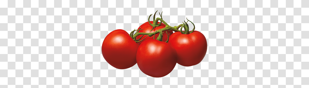 Tomato Images, Plant, Vegetable, Food Transparent Png