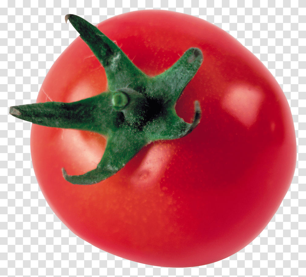Tomato In Web Icons One Tomato Transparent Png