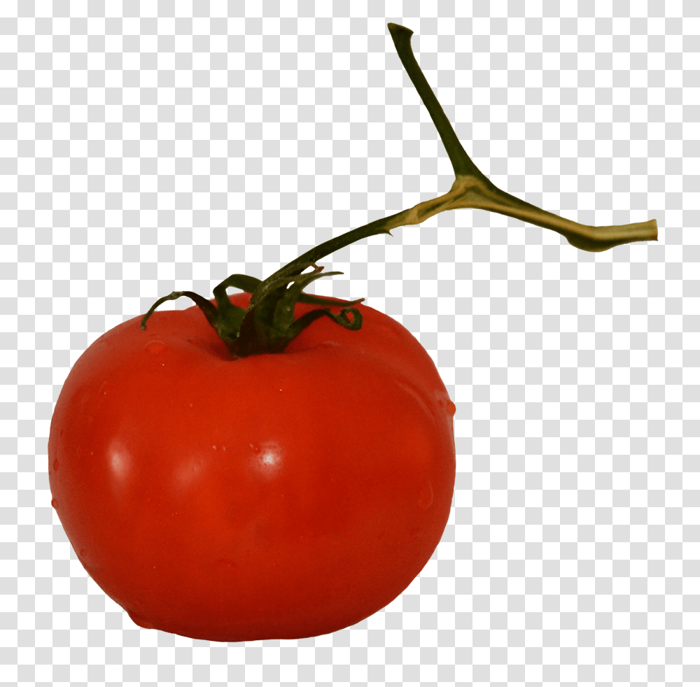 Tomato On Stem Plum Tomato, Plant, Vegetable, Food, Produce Transparent Png