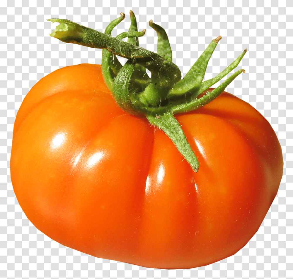 Tomato Organic Fresh Free Picture Plum Tomato, Plant, Food, Vegetable, Produce Transparent Png