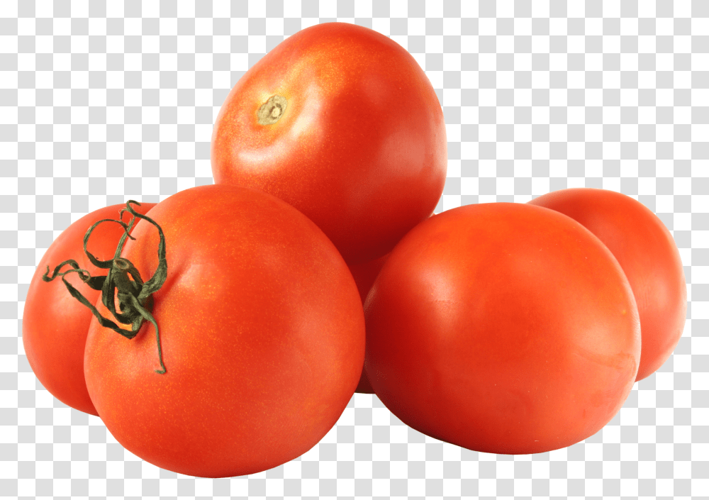 Tomato Picture Tomatoes Transparent Png