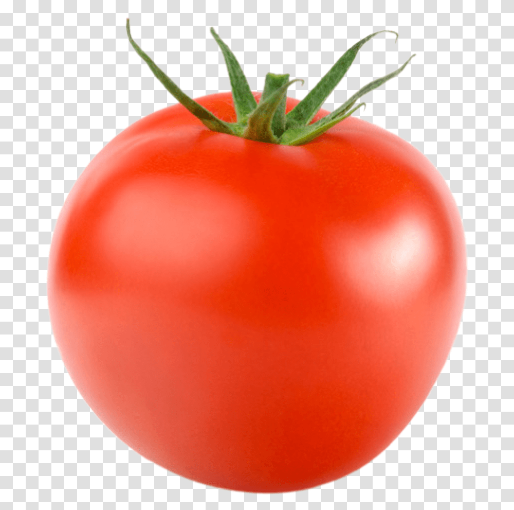 Tomato, Plant, Balloon, Vegetable, Food Transparent Png