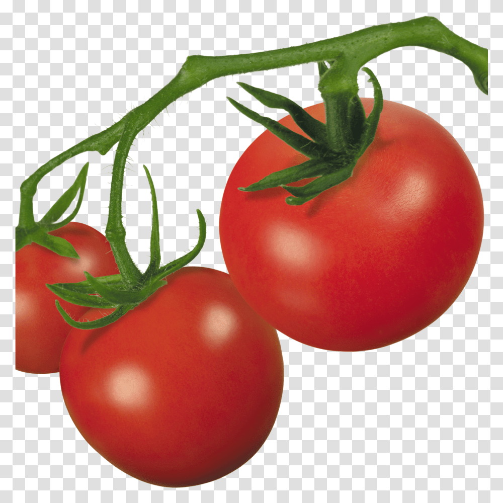 Tomato Plant Clip Art Background Tomato Plant, Vegetable, Food Transparent Png