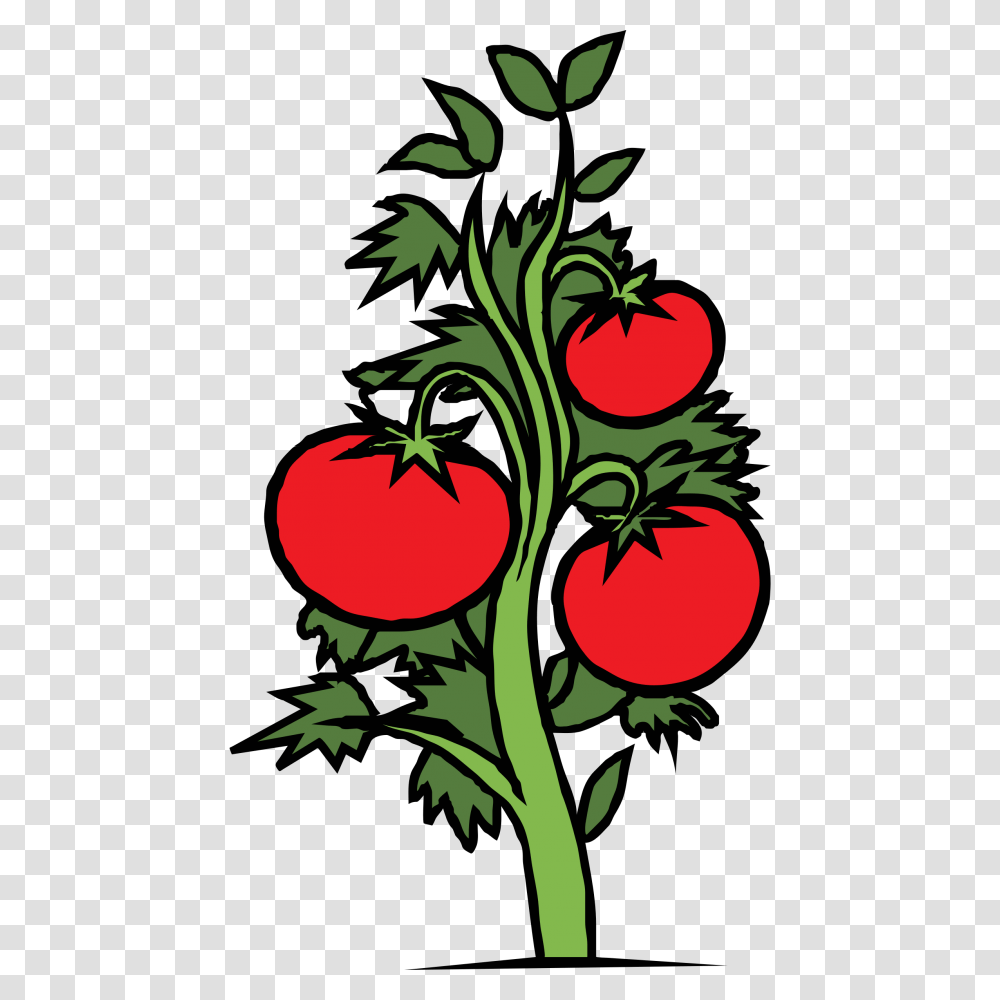 Tomato Plant Clip Art Clipartfest, Food, Fruit, Dynamite Transparent Png