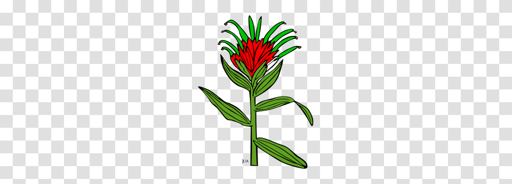 Tomato Plant Clip Art, Flower, Blossom, Green, Leaf Transparent Png