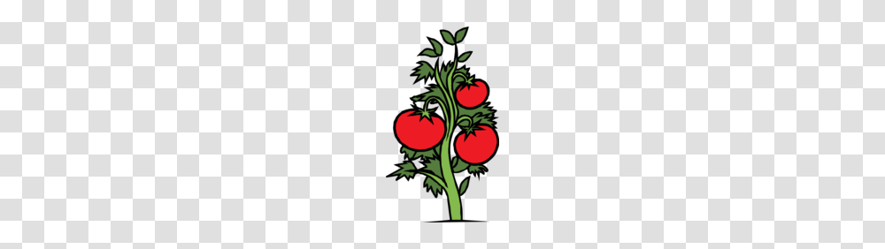 Tomato Plant Clipart, Vegetable, Food, Strawberry Transparent Png