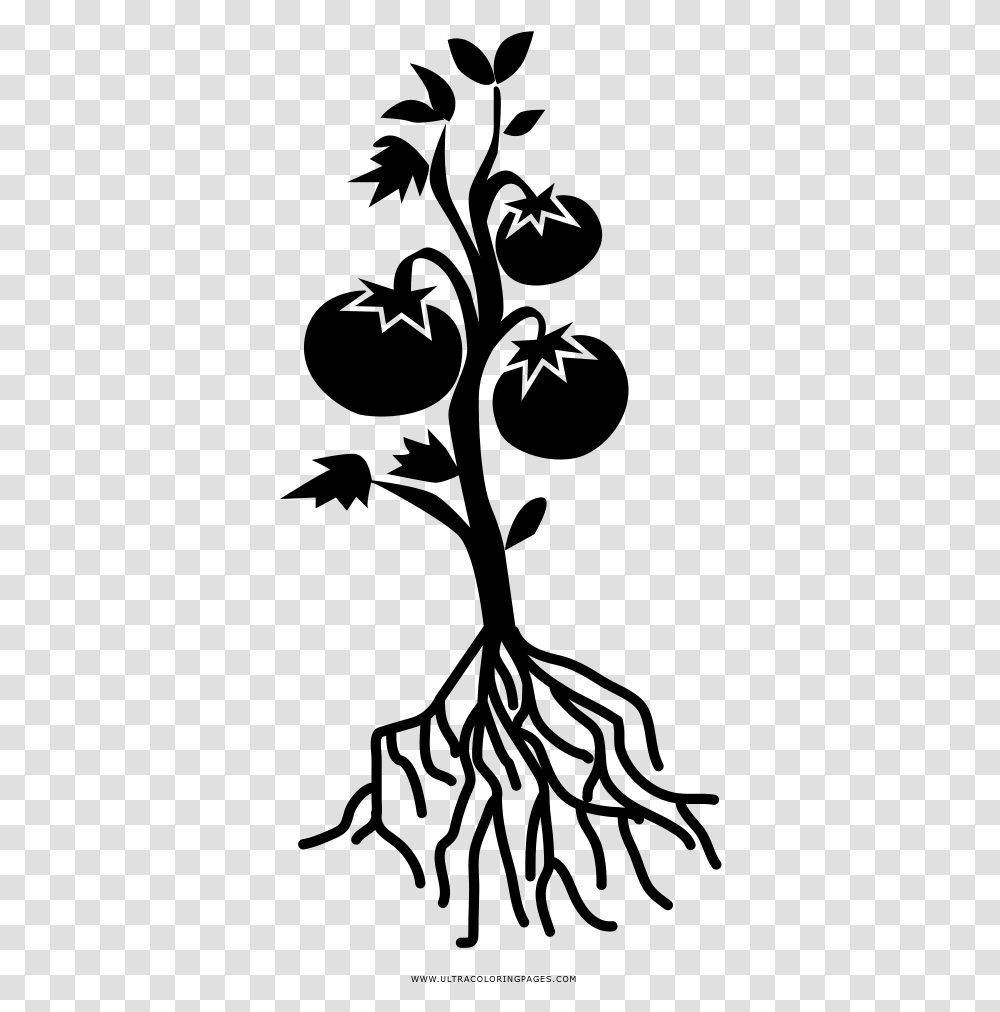 Tomato Plant Coloring, Gray, World Of Warcraft Transparent Png