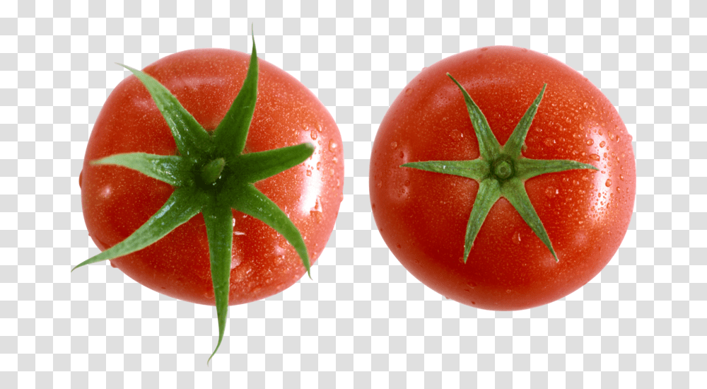 Tomato, Plant, Food, Vegetable Transparent Png