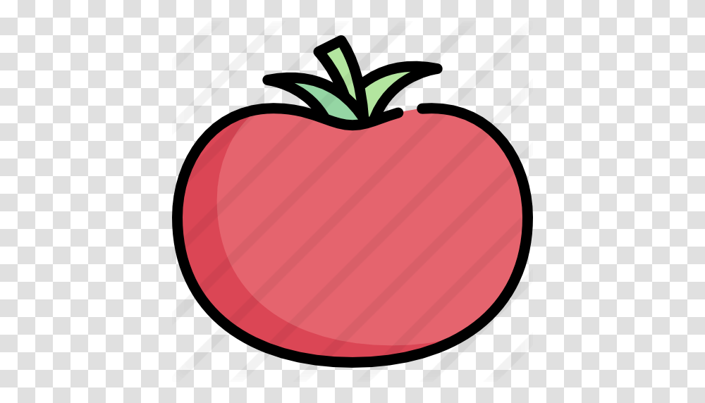 Tomato, Plant, Fruit, Food, Apple Transparent Png