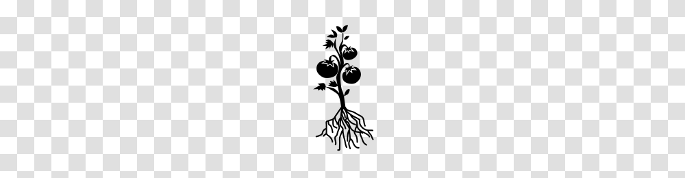 Tomato Plant Icons Noun Project, Gray, World Of Warcraft Transparent Png