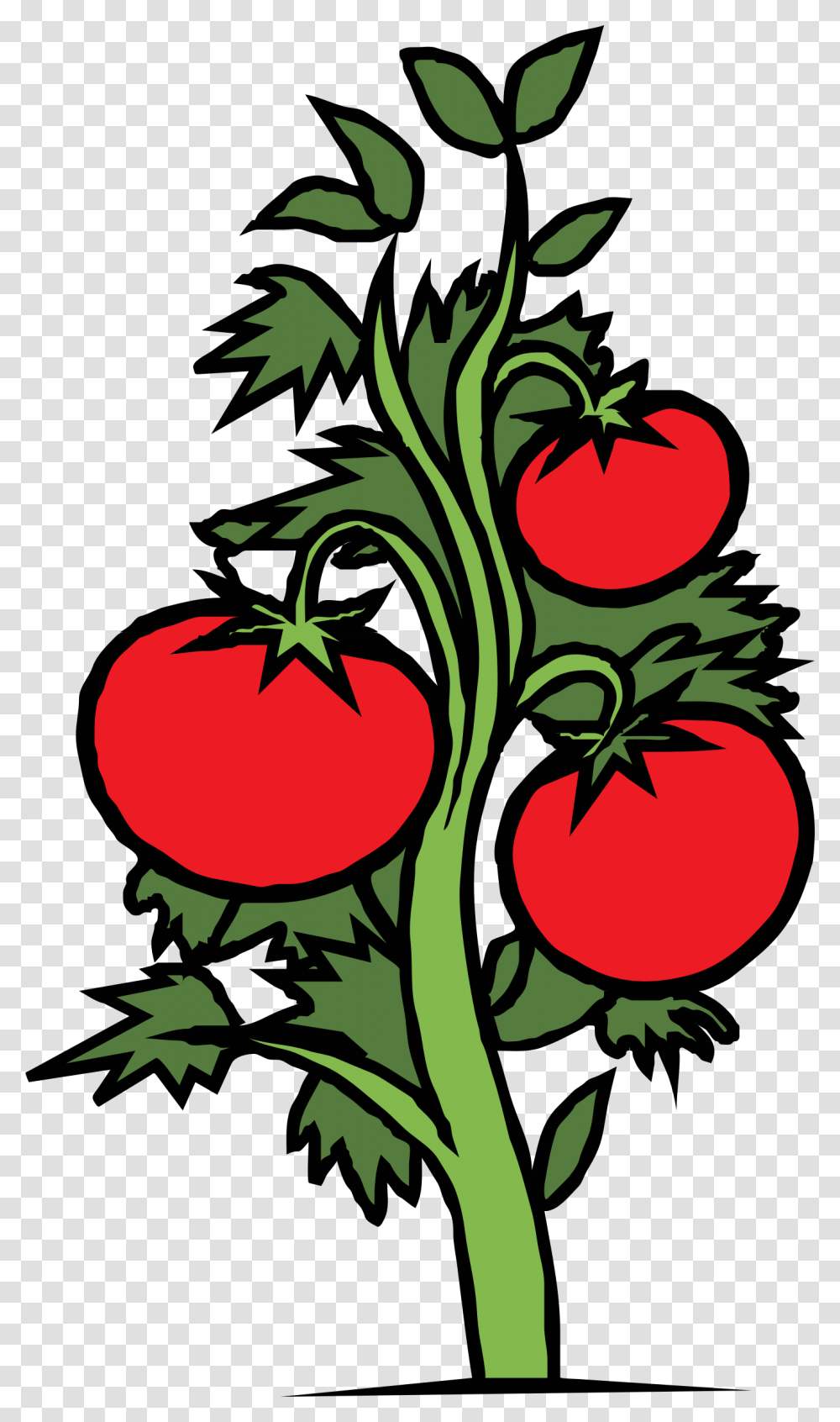 Tomato Plant Icons, Vegetable, Food, Produce Transparent Png