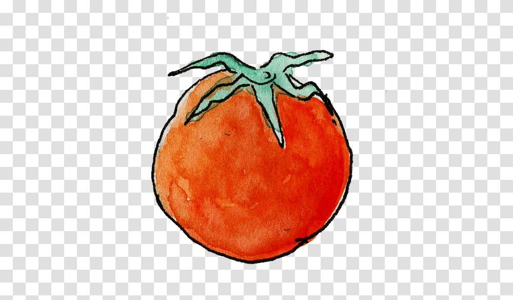 Tomato, Plant, Produce, Food, Persimmon Transparent Png
