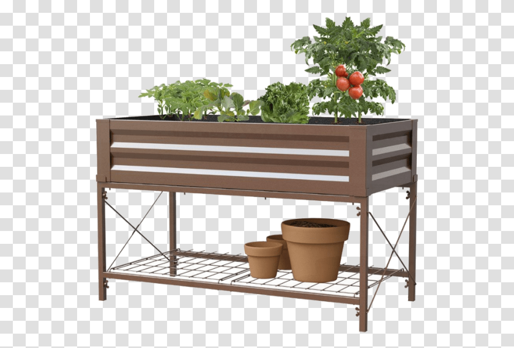 Tomato Plant, Sideboard, Furniture, Tabletop, Cabinet Transparent Png
