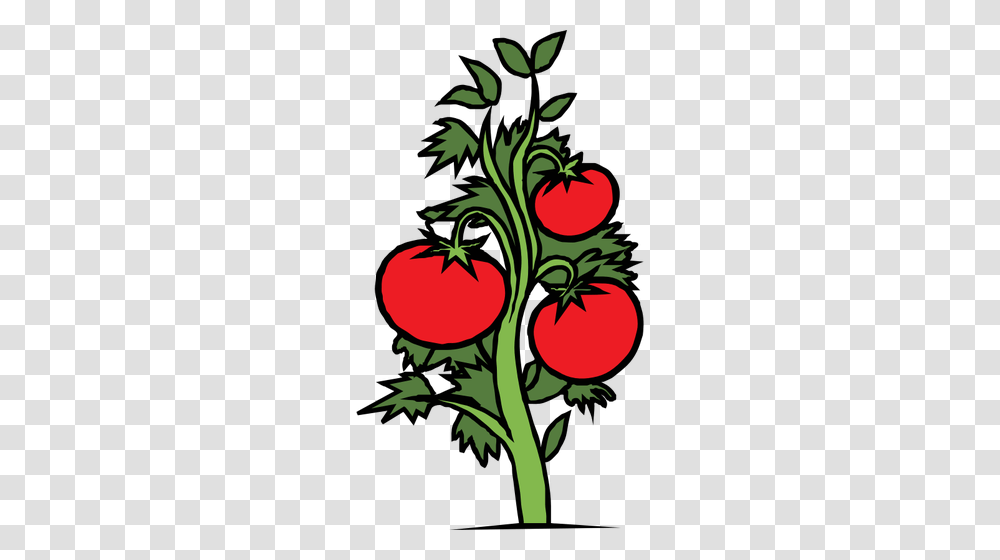 Tomato Plant Vector Clip Art, Vegetable, Food Transparent Png