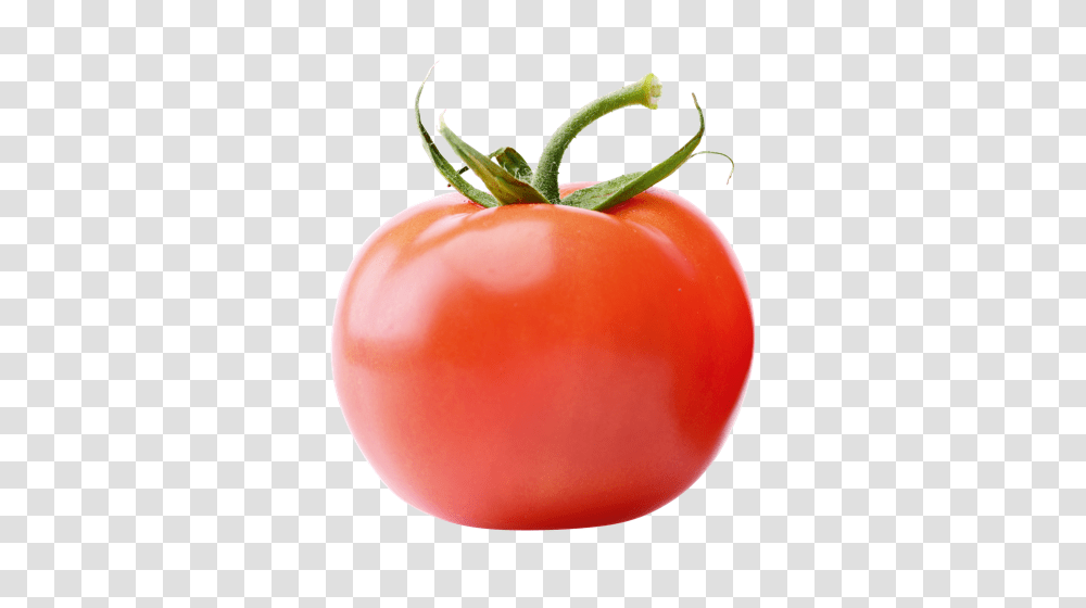 Tomato, Plant, Vegetable, Food Transparent Png