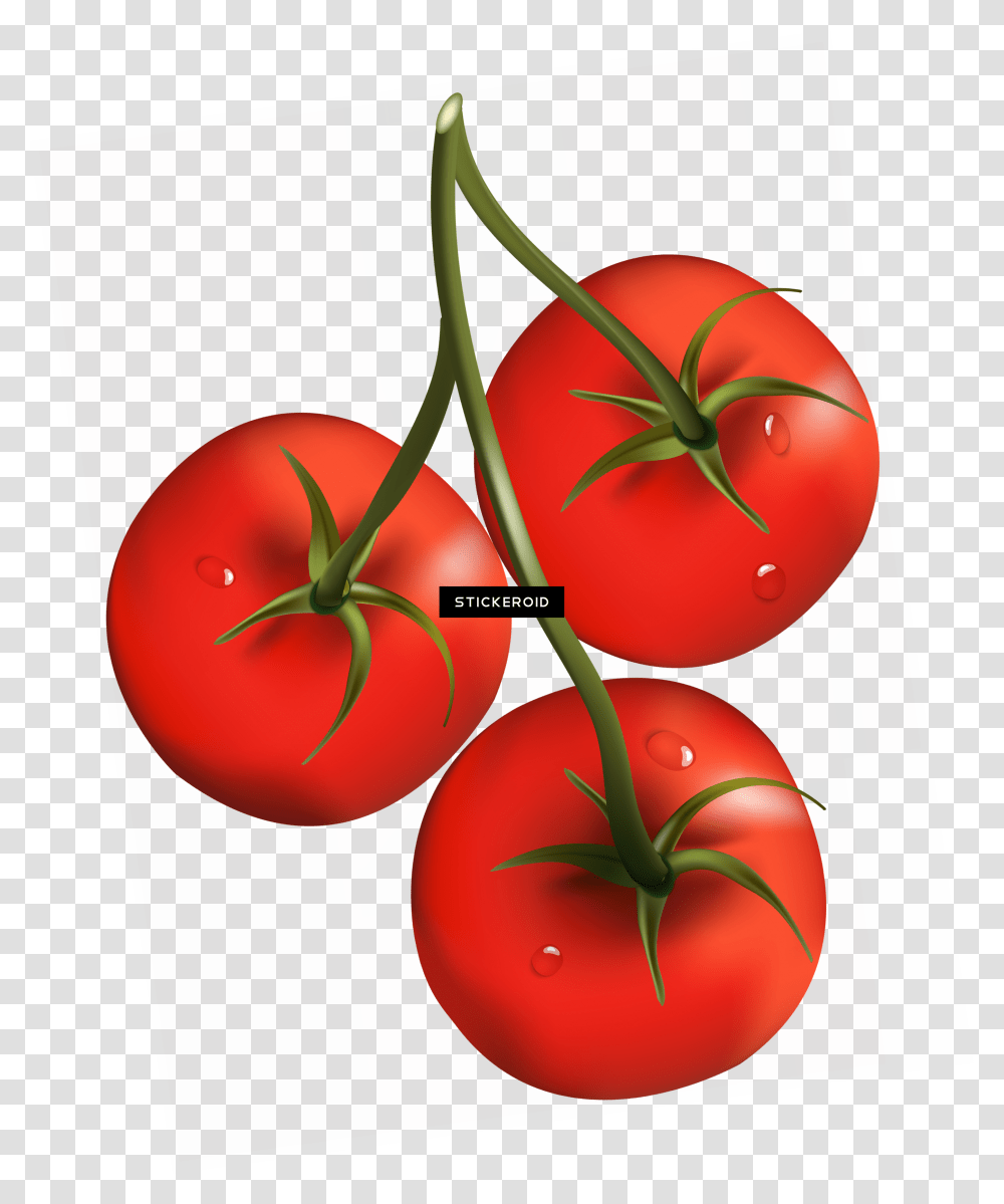 Tomato, Plant, Vegetable, Food Transparent Png