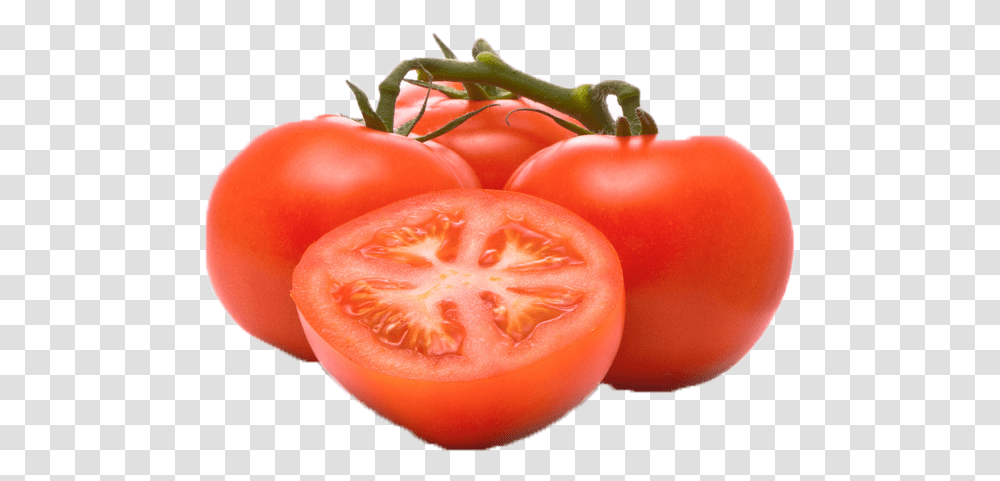 Tomato, Plant, Vegetable, Food Transparent Png