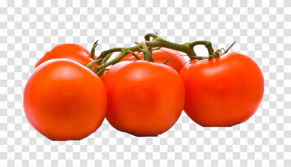 Tomato Play, Plant, Vegetable, Food, Orange Transparent Png