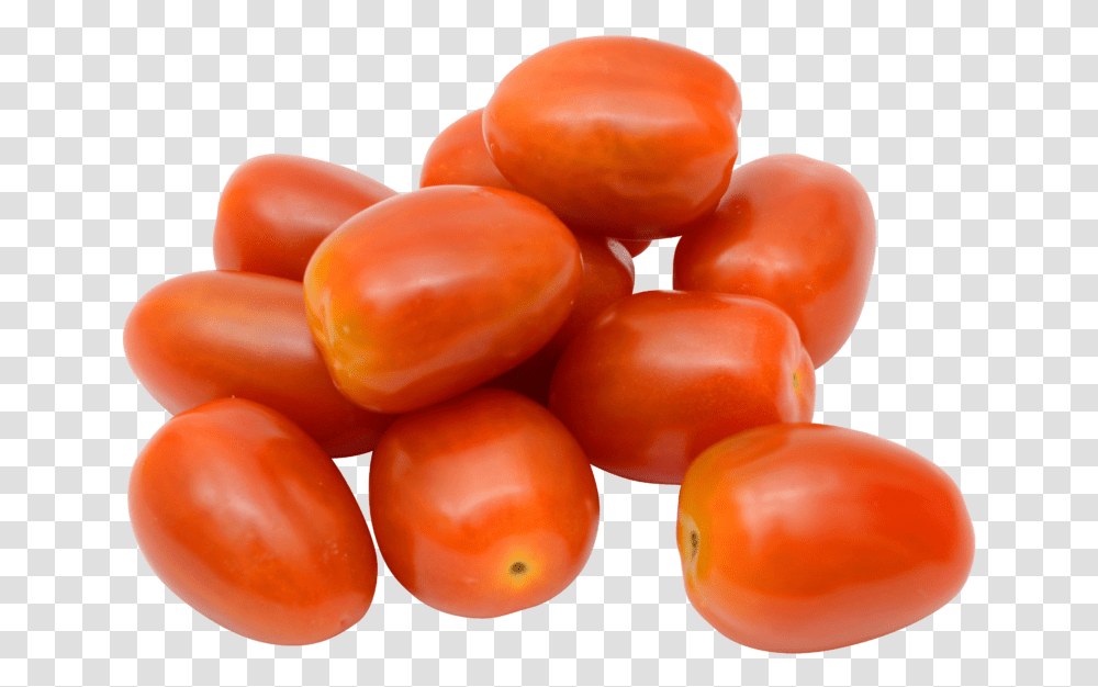 Tomato Plum Holland, Plant, Food, Fruit, Vegetable Transparent Png