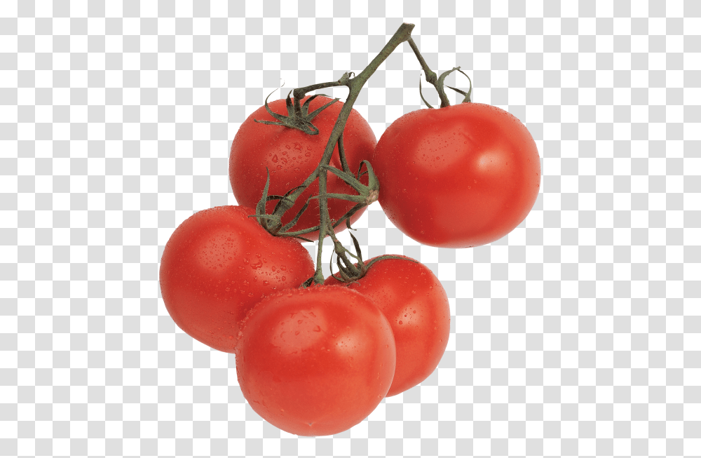 Tomato Pomidori Kartinki Dlya Detej, Plant, Food, Vegetable, Fruit Transparent Png