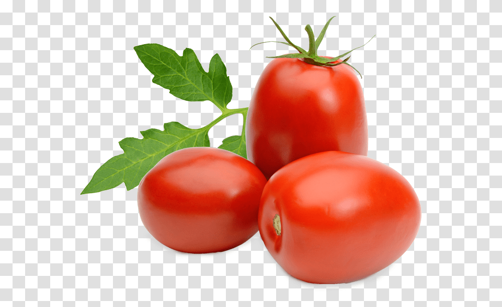 Tomato Roma Roma Tomato Free, Plant, Food, Vegetable, Fruit Transparent Png