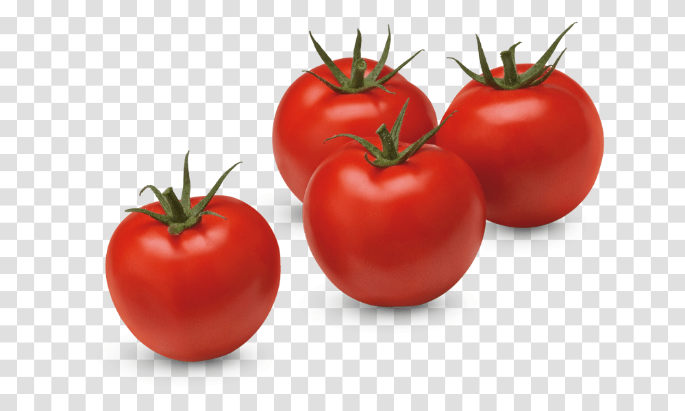 Tomato Round, Plant, Vegetable, Food Transparent Png