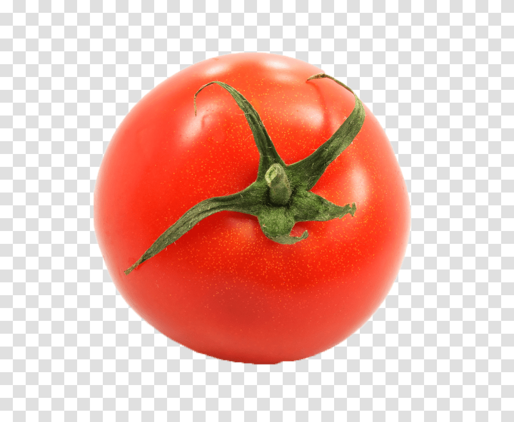 Tomato Royalty Free Image Play, Plant, Vegetable, Food Transparent Png