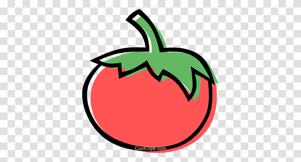 Tomato Royalty Free Vector Clip Art Illustration, Plant, Food, Fruit, Vegetable Transparent Png