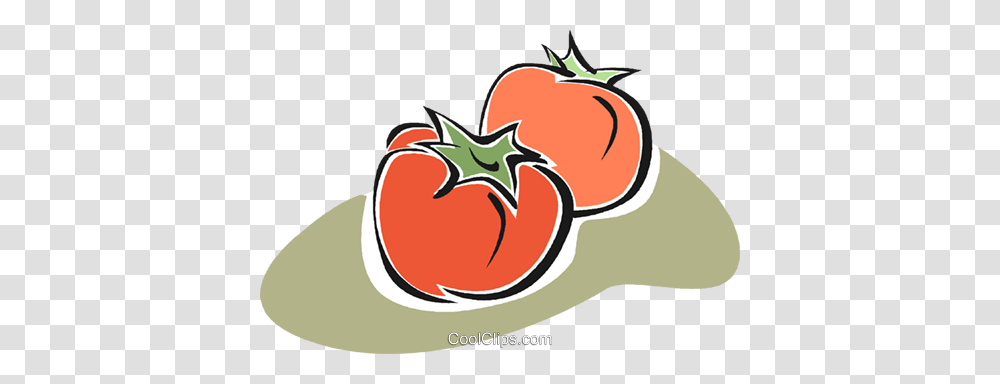 Tomato Royalty Free Vector Clip Art Illustration, Plant, Food, Vegetable, Produce Transparent Png