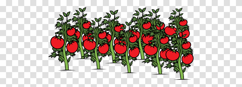Tomato Sauce Cherrytime Orchard, Plant, Floral Design, Pattern Transparent Png