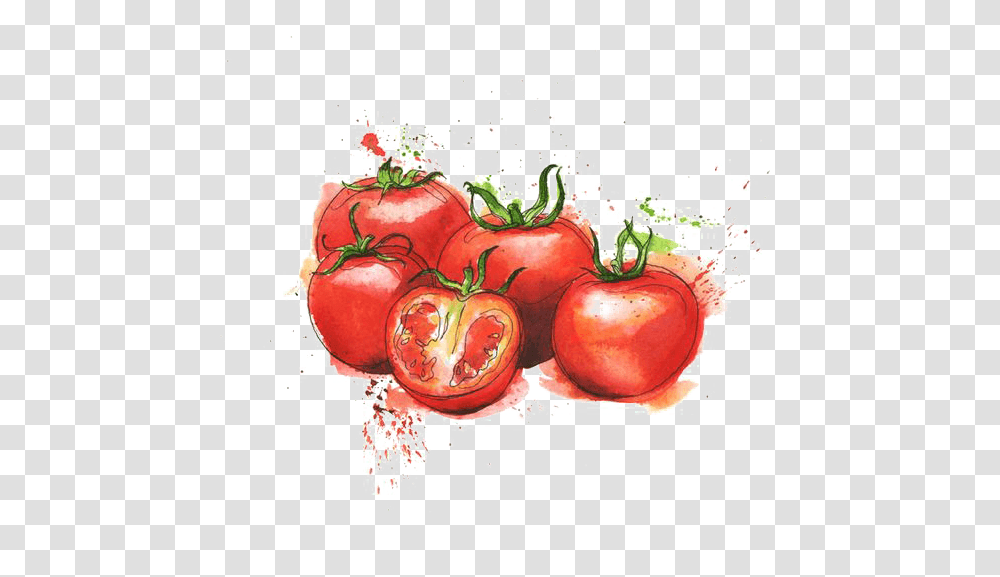 Tomato Sauce Watercolor, Plant, Vegetable, Food Transparent Png