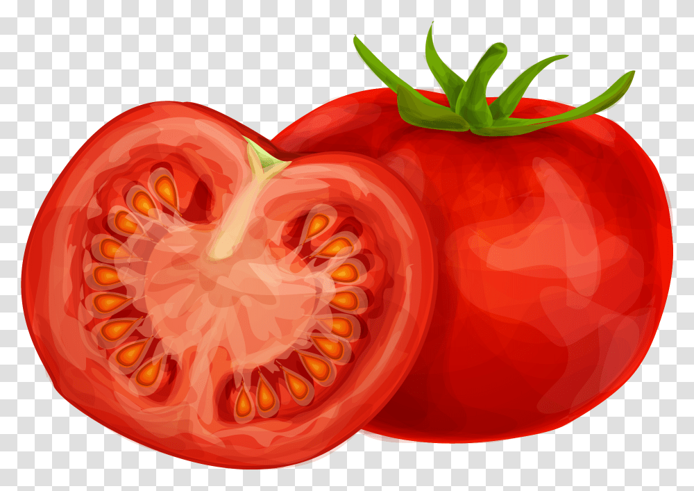 Tomato Slice Clipart Regarding Tomato Clipart, Plant, Vegetable, Food, Rose Transparent Png