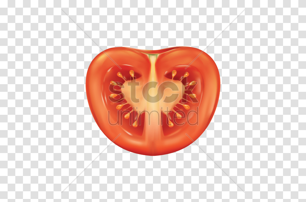 Tomato Slice Vector Image, Plant, Vegetable, Food, Balloon Transparent Png