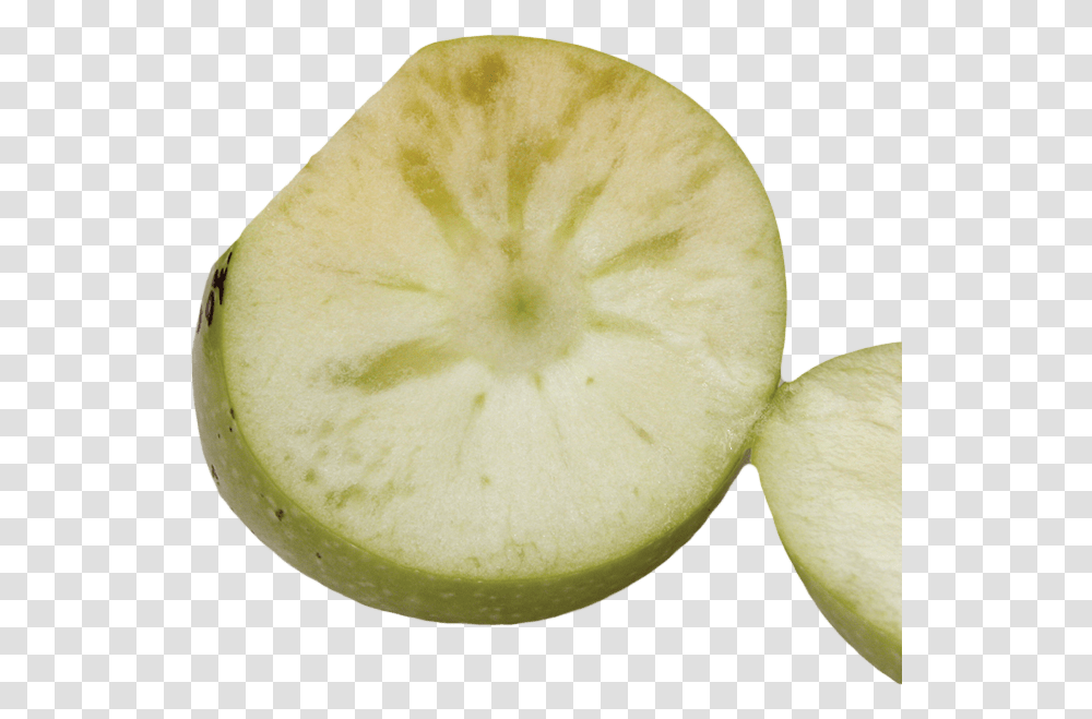 Tomato, Sliced, Plant, Food, Apple Transparent Png