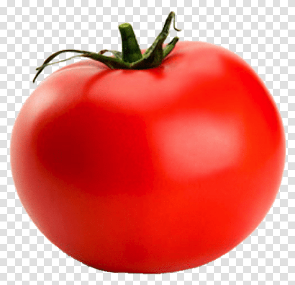 Tomato Tomato, Plant, Balloon, Vegetable, Food Transparent Png