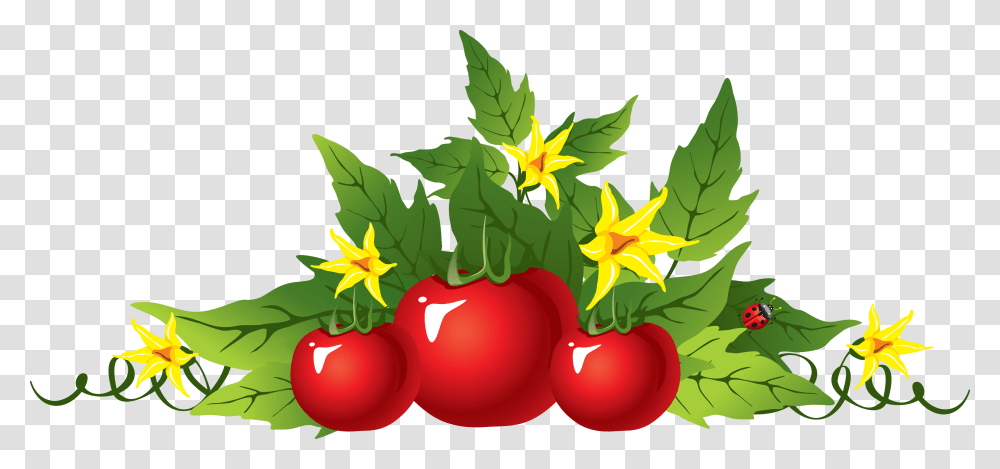 Tomato Tomato Plants Clipart, Leaf, Fruit, Food, Cherry Transparent Png