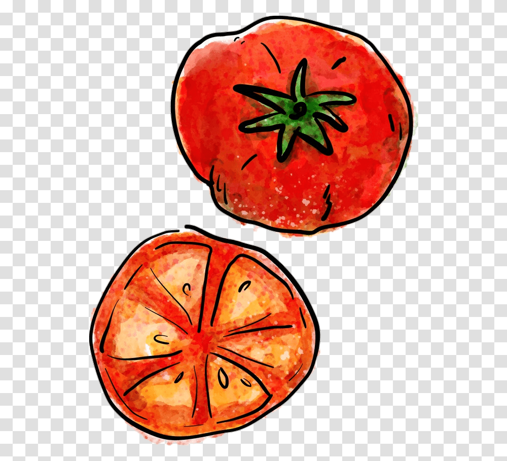 Tomato Tomatoes Sticker By Heirloom Tomato Draw, Plant, Citrus Fruit, Food, Grapefruit Transparent Png