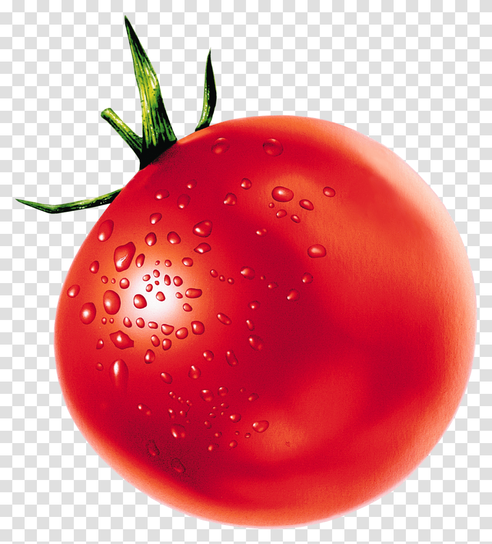 Tomato, Vegetable, Plant, Food, Balloon Transparent Png