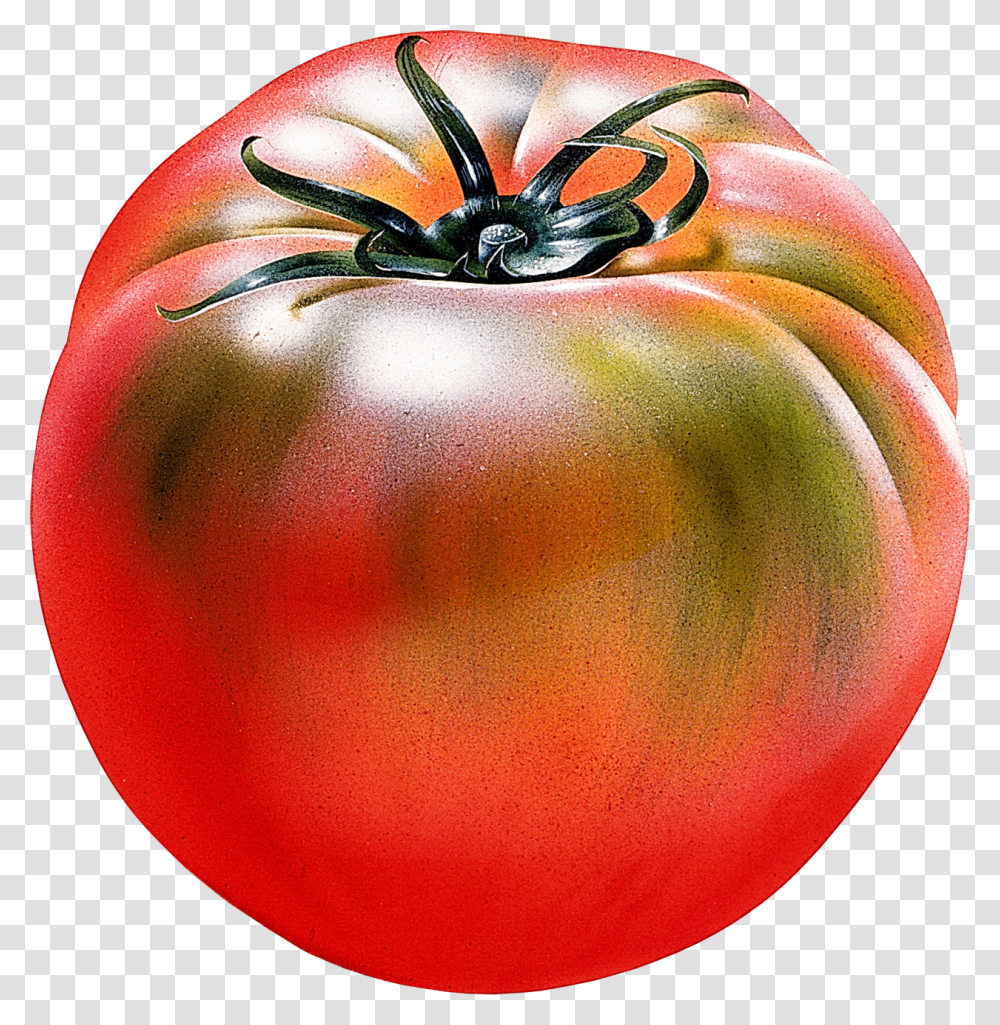 Tomato, Vegetable, Plant, Food, Balloon Transparent Png